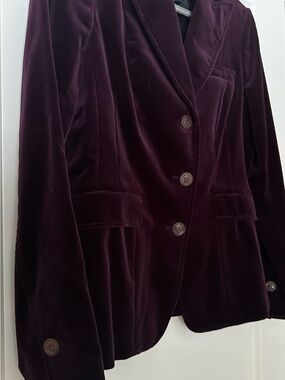 Banana Republic Velvet Blazer in Deep Plum